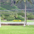 hawaii 072