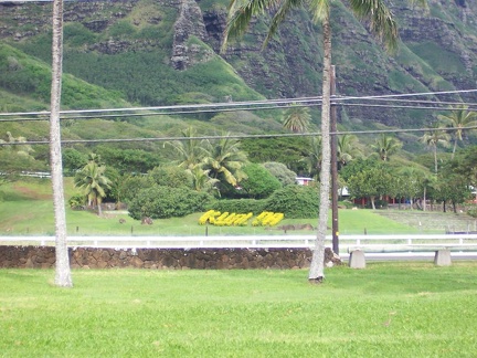 hawaii 072