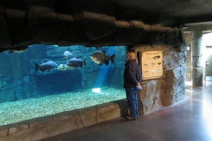 aquarium 012