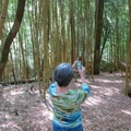 Bamboo14