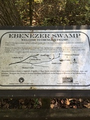 EbenezerSwamp14