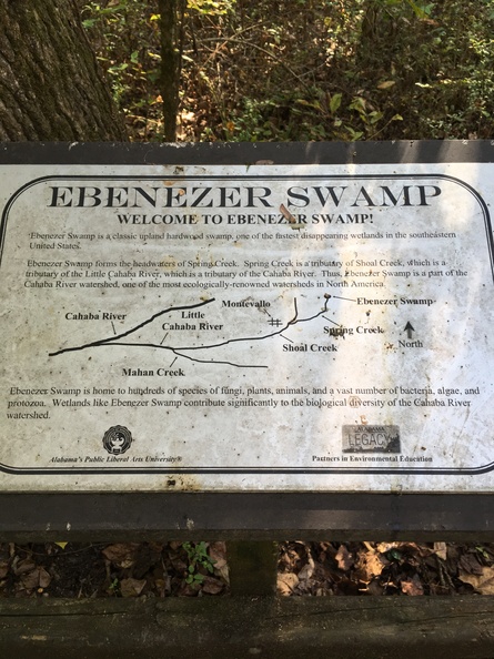 EbenezerSwamp14.jpg
