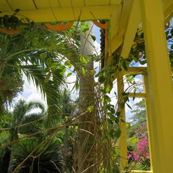 StKitts